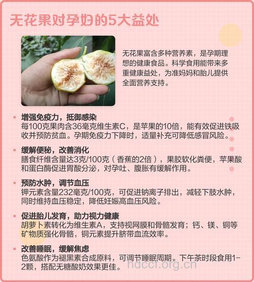 孕妇能不能吃无花果