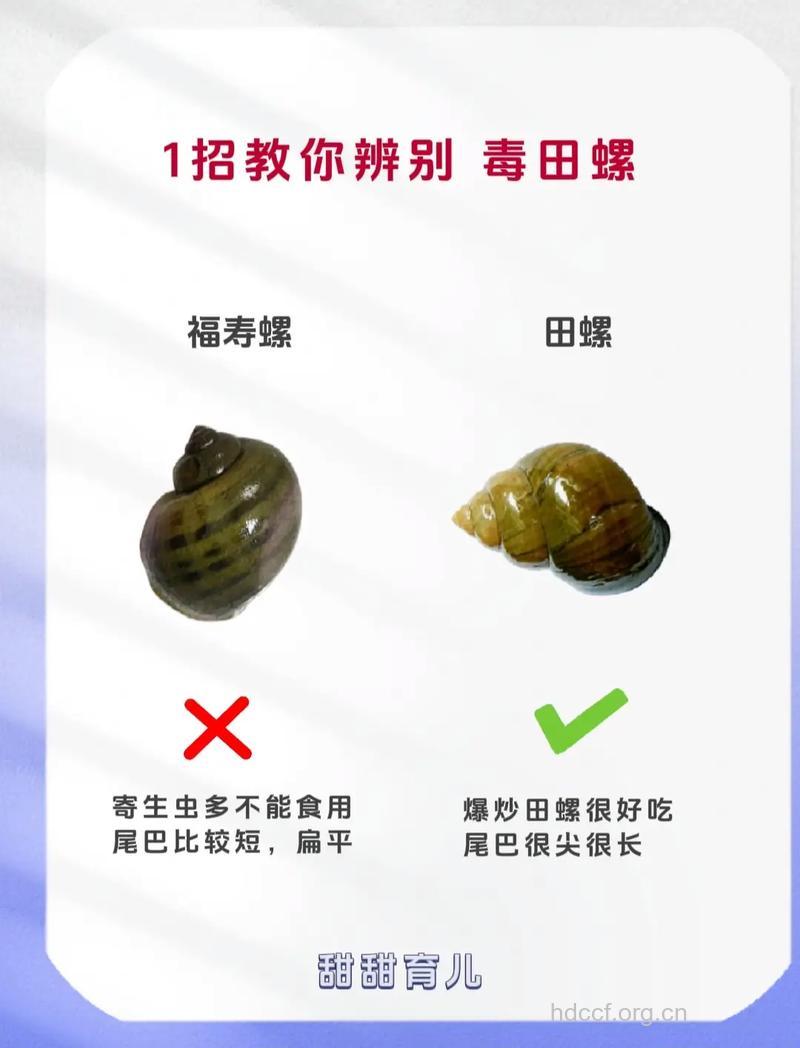 专家教你如何辨别有毒食品