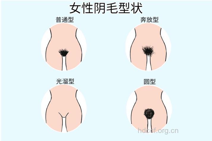 男人不了解的女人私处秘密