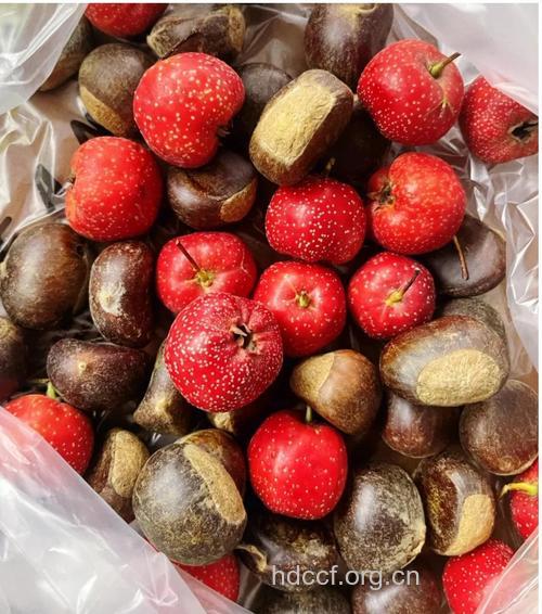 空腹能吃山楂、桔子吗