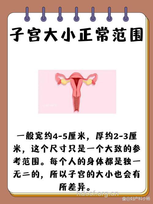 少女性器官的标准数据