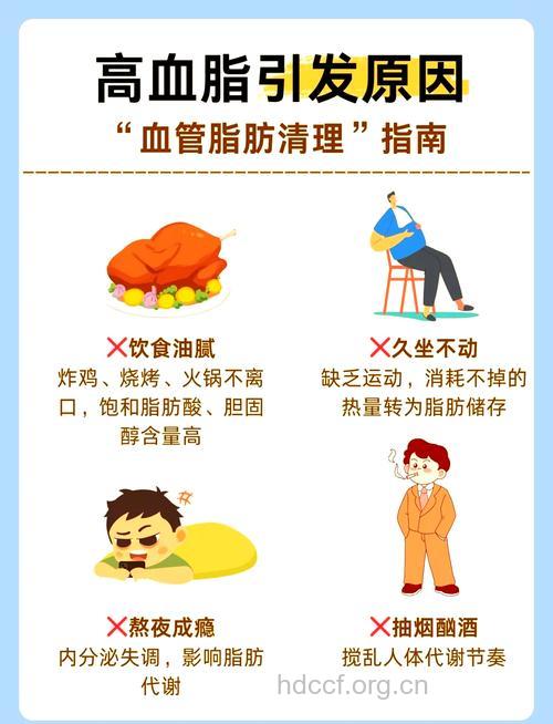 高血脂症的产生原因及治疗原则