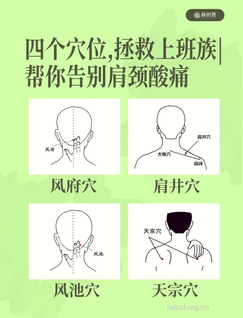 护住风府穴 颈椎病从此不再复发