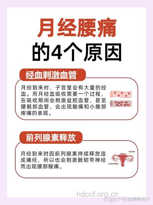 来月经腰酸背痛怎么办