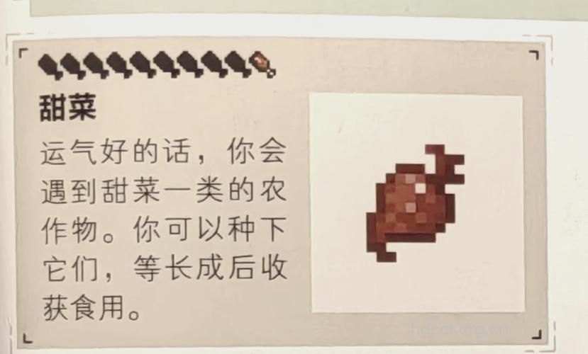 MC来前一周的幸福饮食汉方