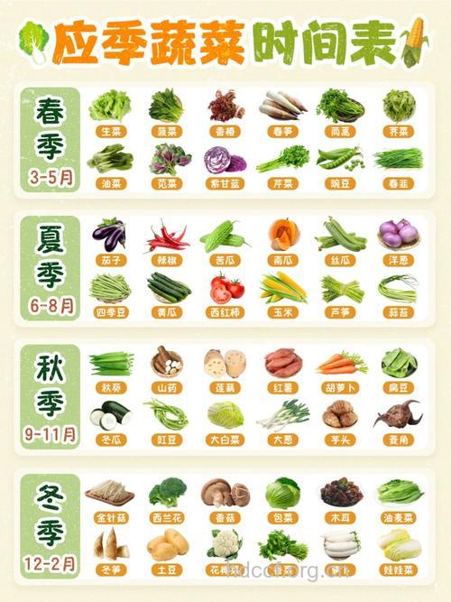 一年四季最为有效的保健养生蔬菜