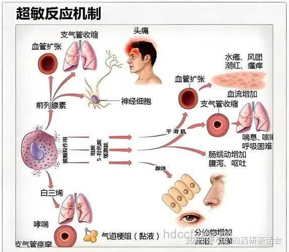 药物有什么副作用