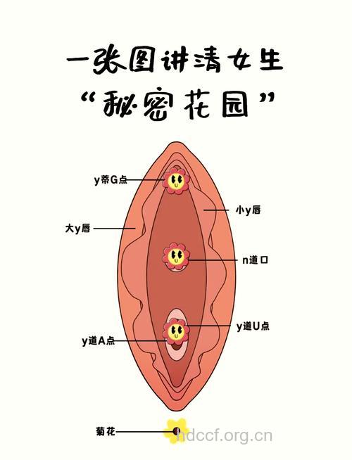 揭秘:女人私密处的N个问题