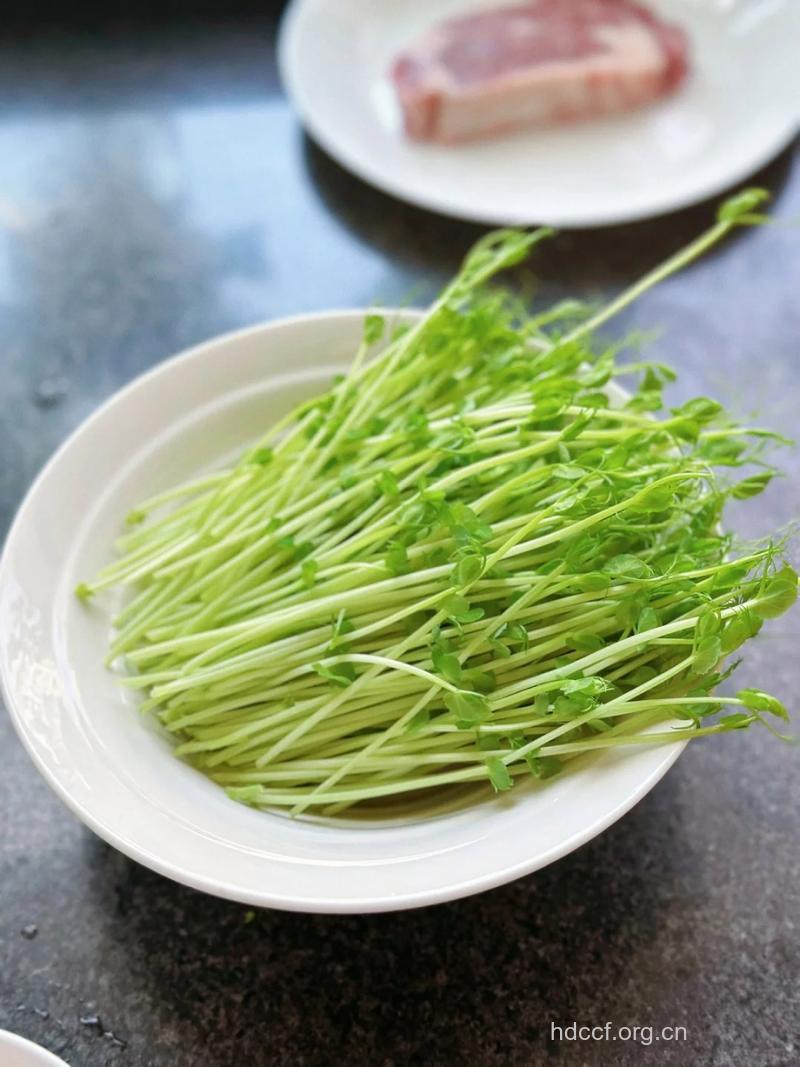 雨水节气吃什么好—豆苗