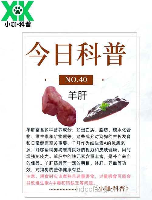 食用动物肝脏的6大健康原则