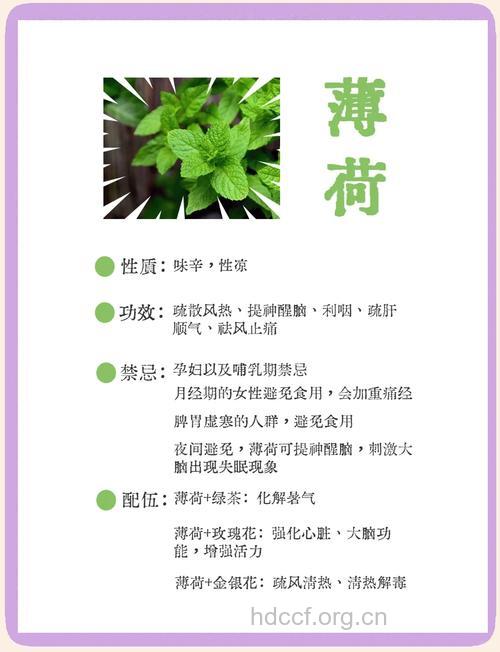 孕妇孕期可以吃薄荷吗