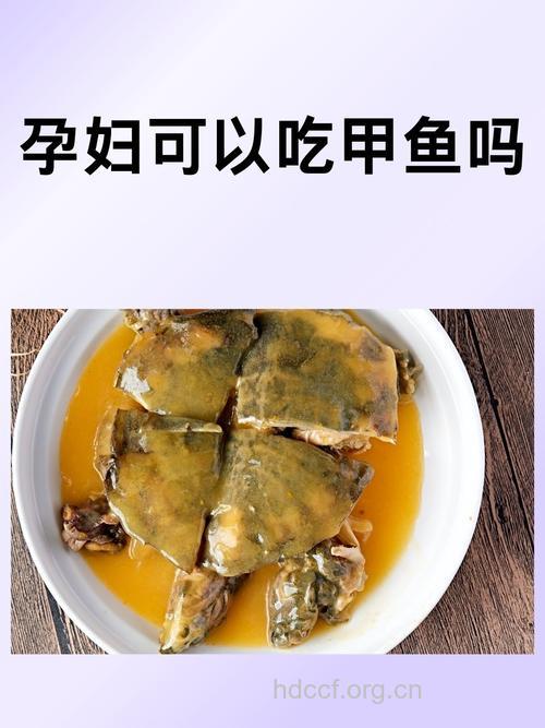 孕妇可以吃甲鱼么