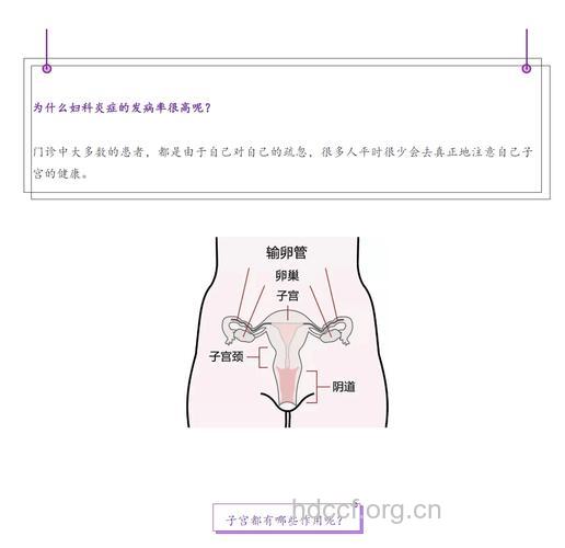 女人自查外阴方法简述