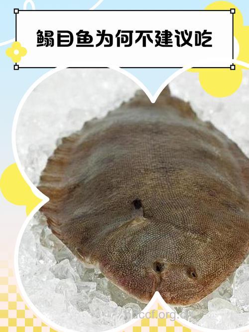 孕妇可以吃鳎目鱼吗