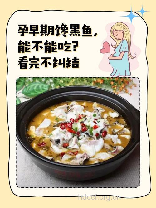 孕妇可以吃乌鳢吗
