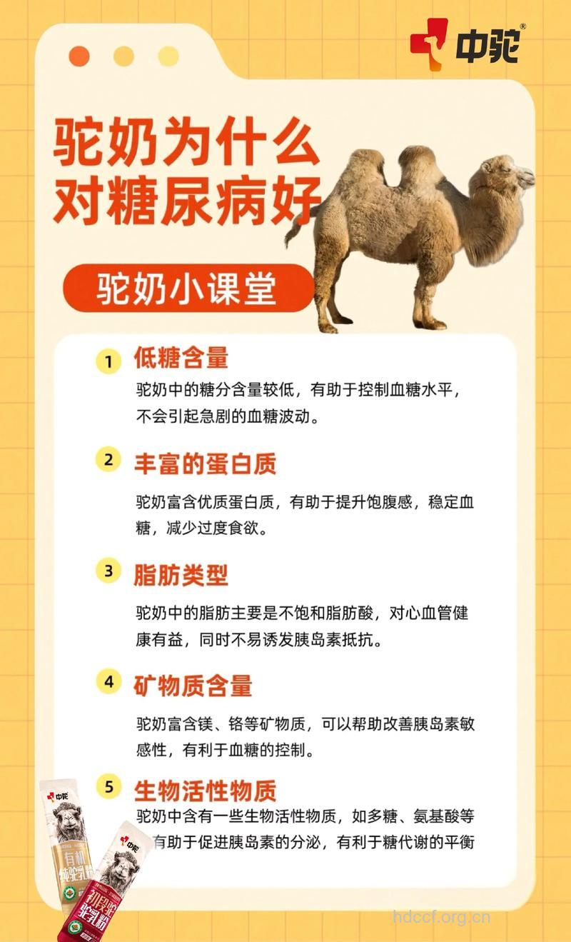 常吃奶酪 糖尿病绕道