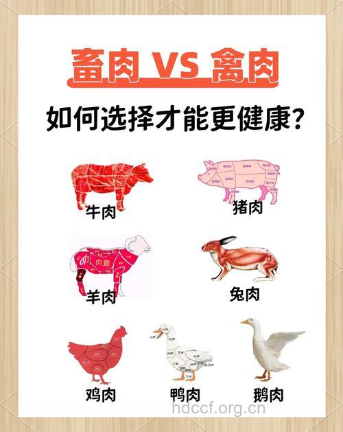 如何吃肉才健康