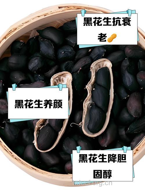 黑色营养食物 抗衰更养生