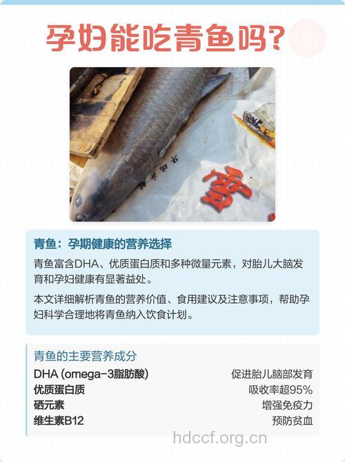 怀孕孕妇可以吃青鱼吗