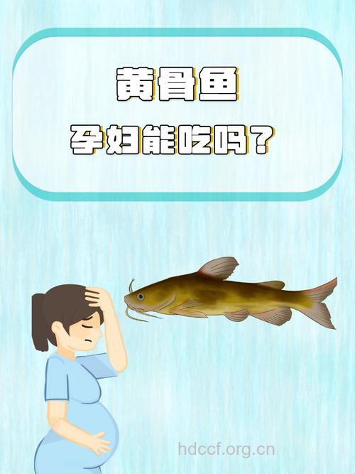 孕妇可以吃黄鱼么