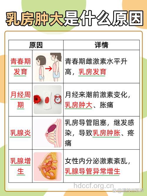 女人乳房的肿胀的原因