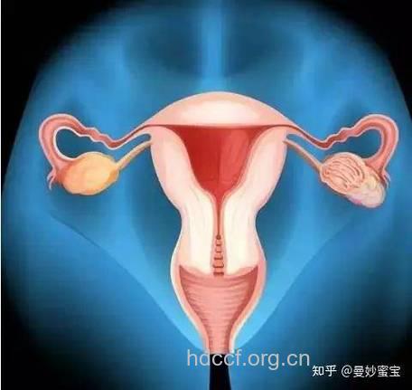 女性月经期间的10大私密事