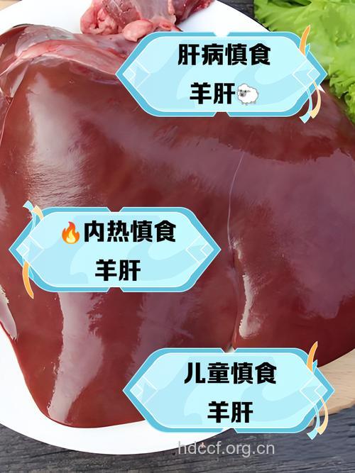 孕妇可以吃羊肝吗