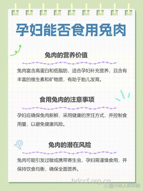 怀孕孕妇可以吃兔肉吗