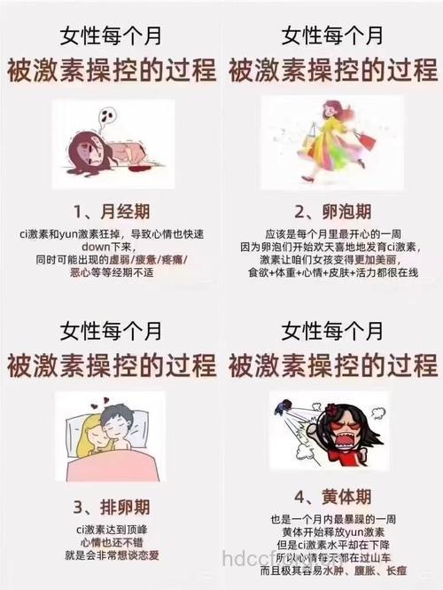 雄激素影响着女人的性欲