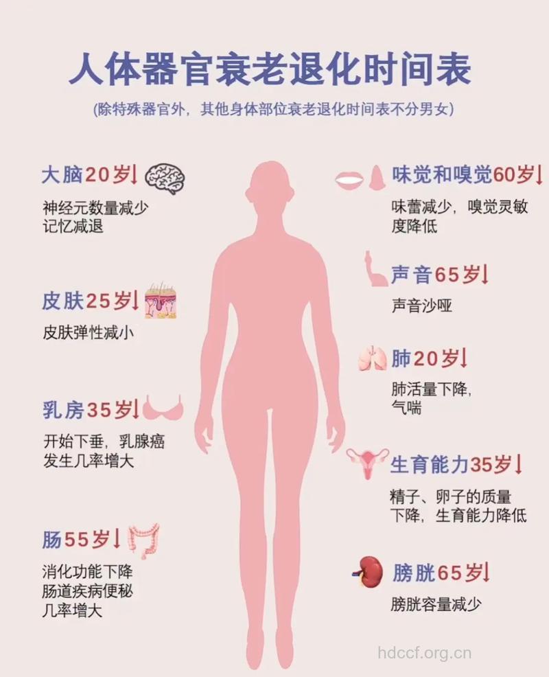 女性缺7类营养衰老提速
