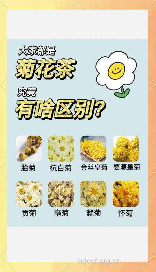 菊花茶有4种 功效各不同