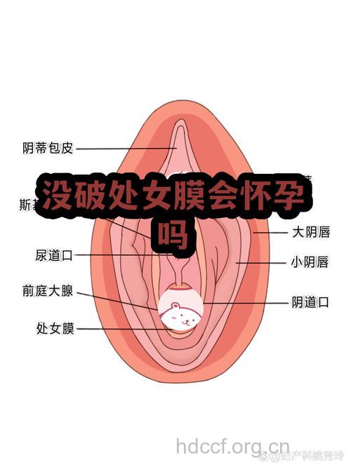 惊！处女膜没有破也能怀孕