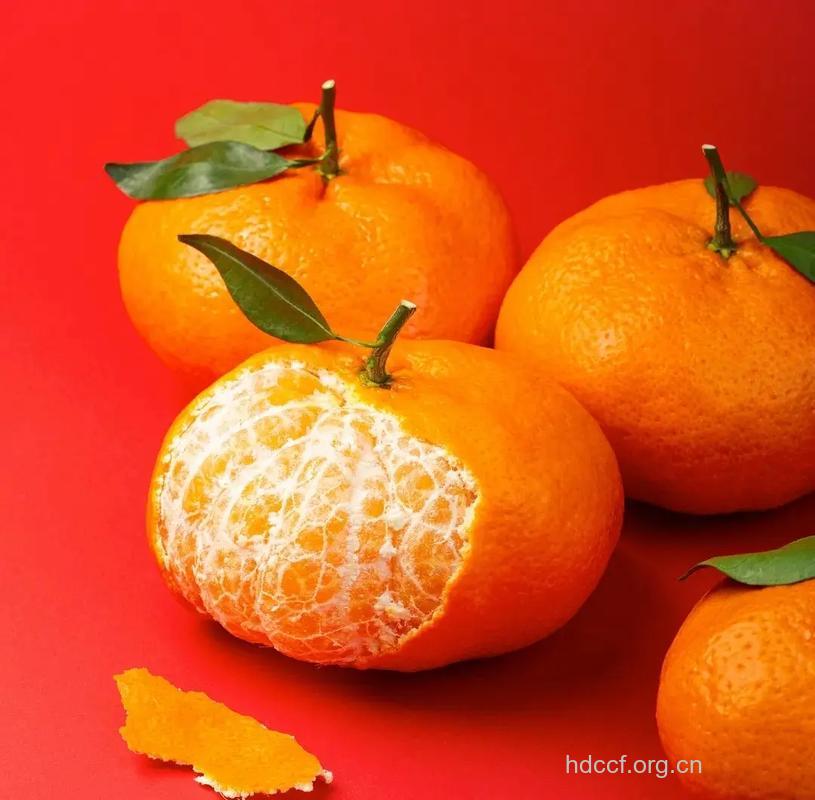 一个桔子 全身都是宝！