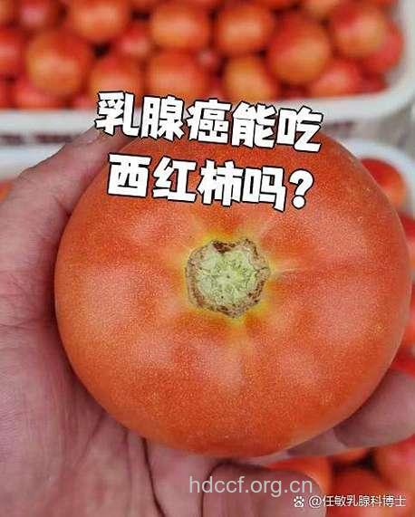 番茄 可有效预防乳腺癌