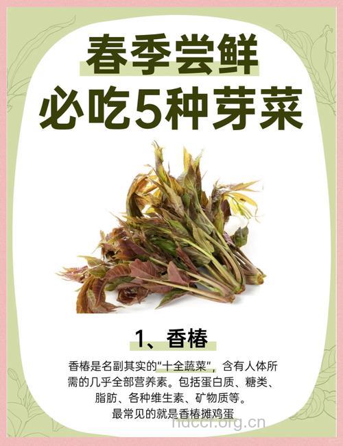 吃各种芽菜的保健功效