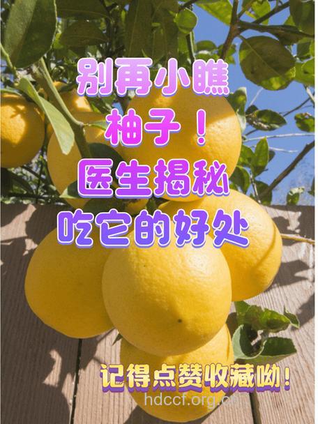 服避孕药后吃柚子等于白吃