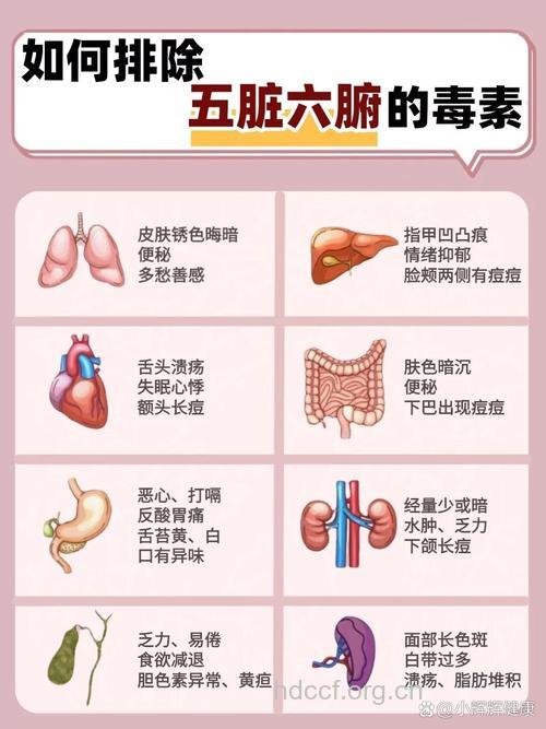 怎么样排出身体内的毒素