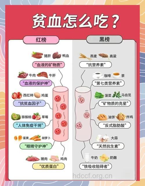 女人贫血吃什么食物好