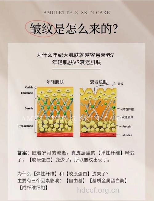 9个原因让你的皱纹长的飞快