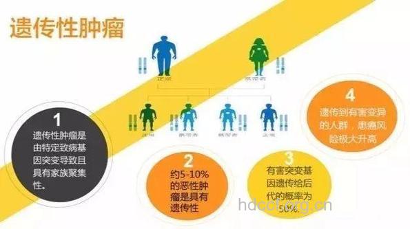 四类癌症遗传机率最高