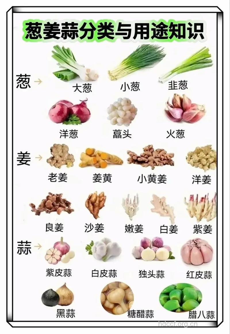 多吃葱姜蒜好处多