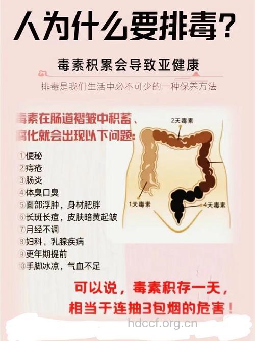 孕前为什么要排毒