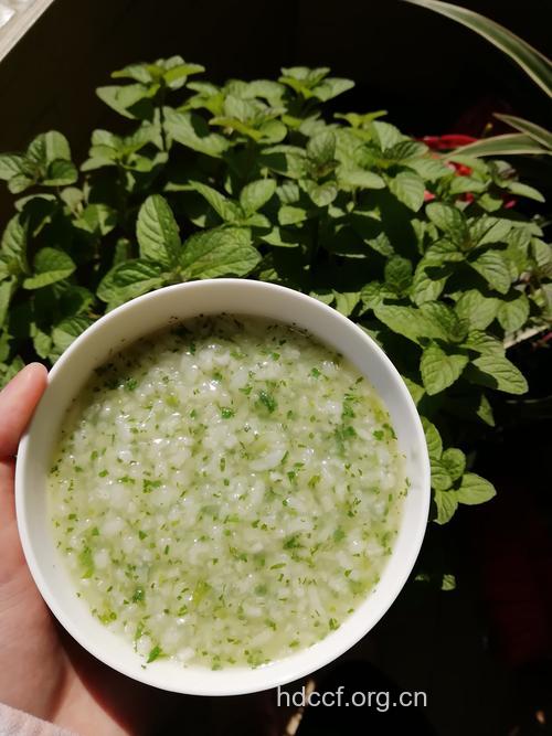 压力大多喝薄荷粥