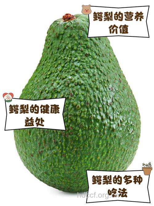 压力太多吃什么？多吃开心果、鳄梨