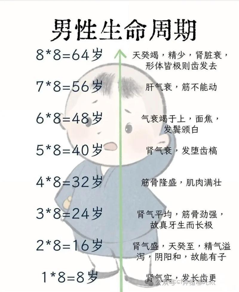 哪些男人伴随女人的一生