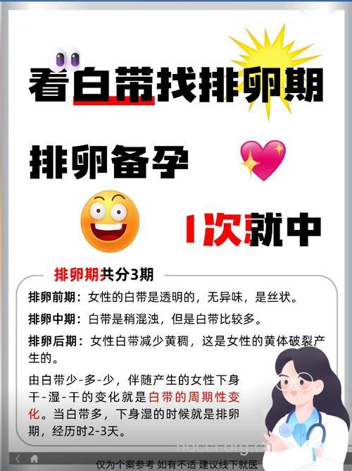 排卵与生男生女的密切关系