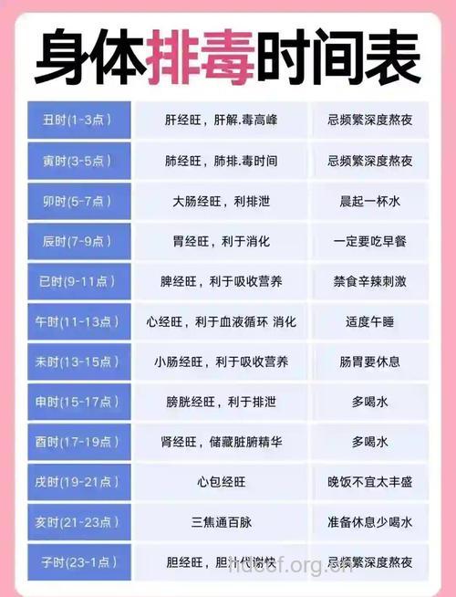 人体排毒时间表 排毒必吃食物