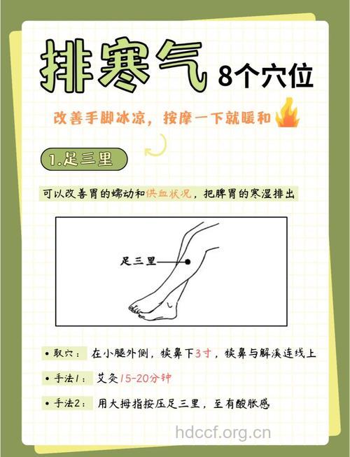 穴位+食疗让你做个冬日美人