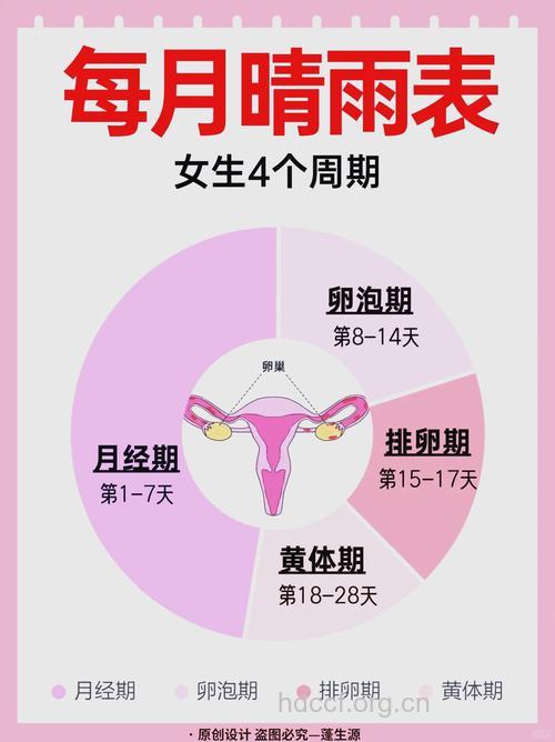 不同阶段女性的生理特征！
