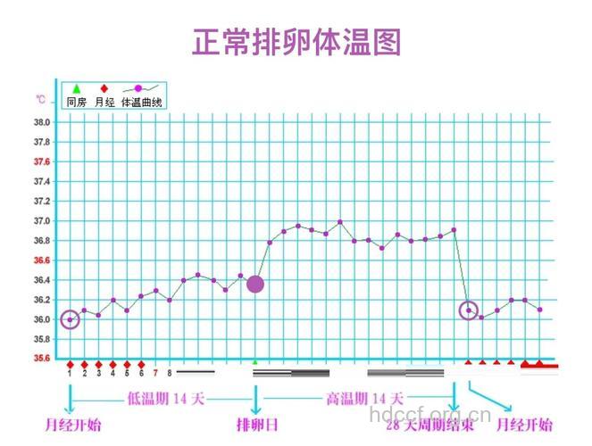 女性怀孕正常体温是多少
